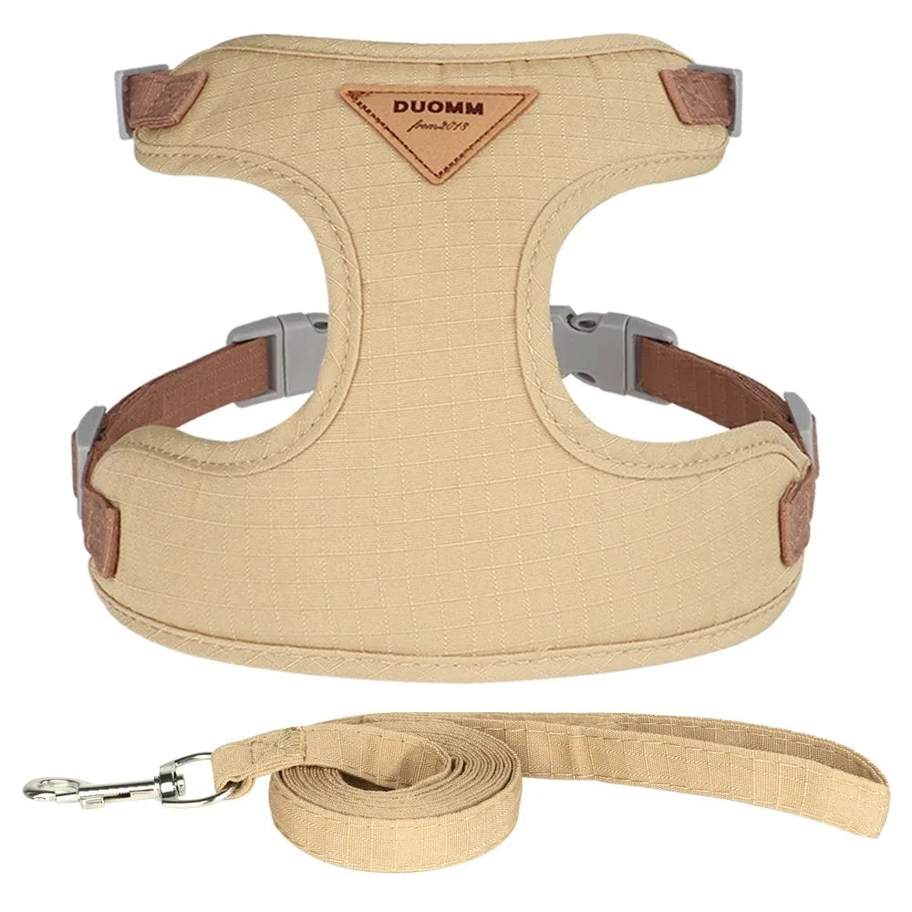Pet Products for Cats Detachable Collar Pets Kittens Harness Accessories Goods Cute Kitten Animal Animals Stuff Dogs Tag Collars