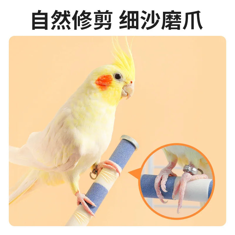 Multi-Functional Perch Stand for Birds with Bird Shower Perch Function Ideal Window Perch for Birds with Secure Suction Cup