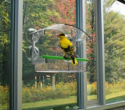 Parrot Breeding Cage Transparent Acrylic Large Special Cockatiel Budgerigar Lovebird Canary Pet Bird Cage