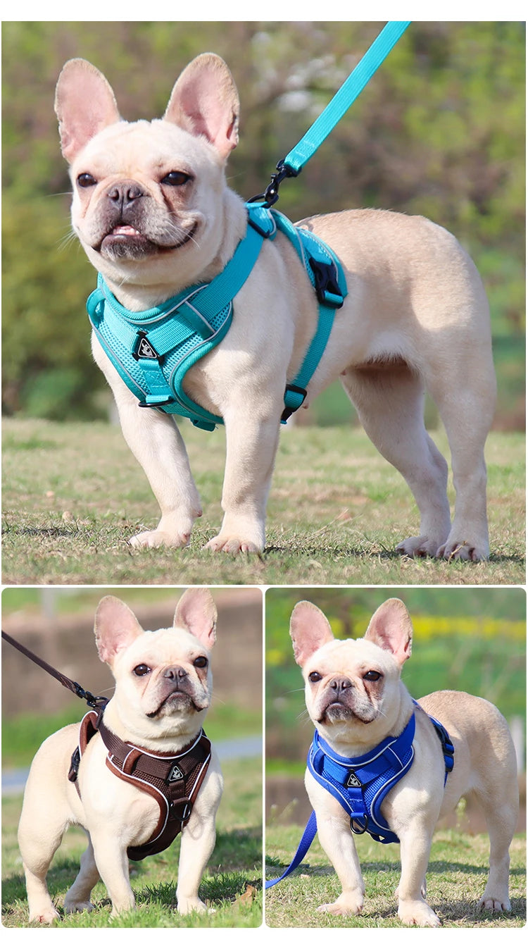 3pc Cat Harness Vest Adjustable Reflective Collars Cute Walking Lead Leash Set Harnesses Necklace For Small Dogs Cat Accessories