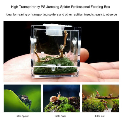 Small Reptile Feeding Box Transparent Acrylic Jumping Spider Breeding Box Habitat Small Insect Container Humidifier Feeding Box
