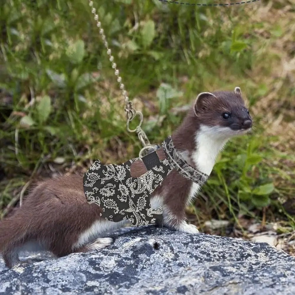 Multicolor Ferret Harness and Leash Set Floral Pattern Adjustable Strap Ferret Harness Vest Wear-resistant Breathable