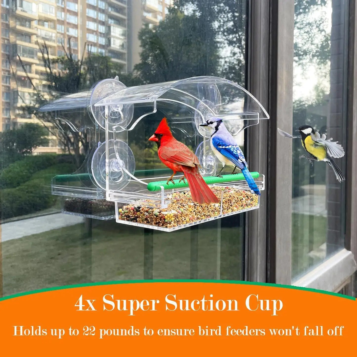 Parrot Breeding Cage Transparent Acrylic Large Special Cockatiel Budgerigar Lovebird Canary Pet Bird Cage