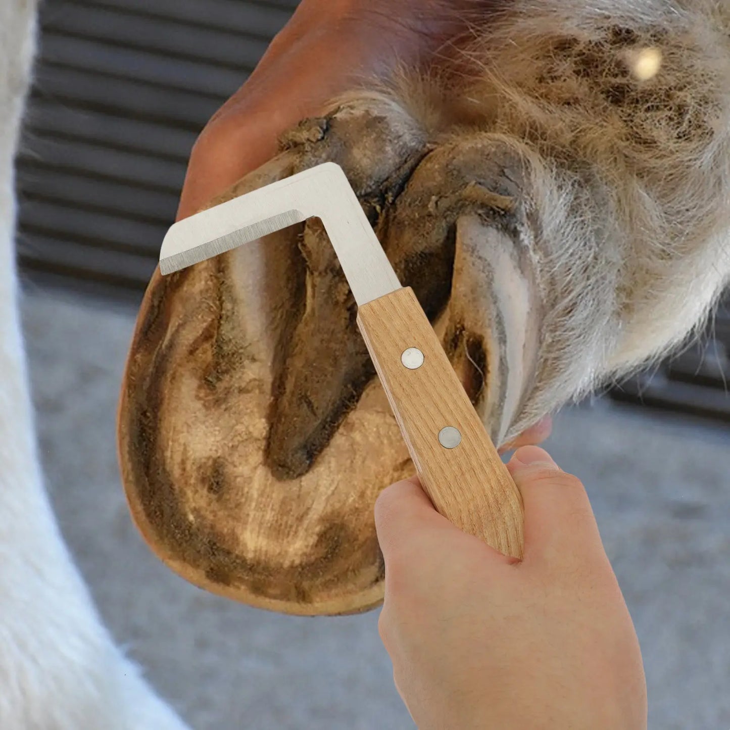 2Pcs Horse Hoof Trimmer Premium Metal Horseshoe Cutter Sharp Blade Easy Operation Portable Hoof Repairing Tool for Donkey Nail