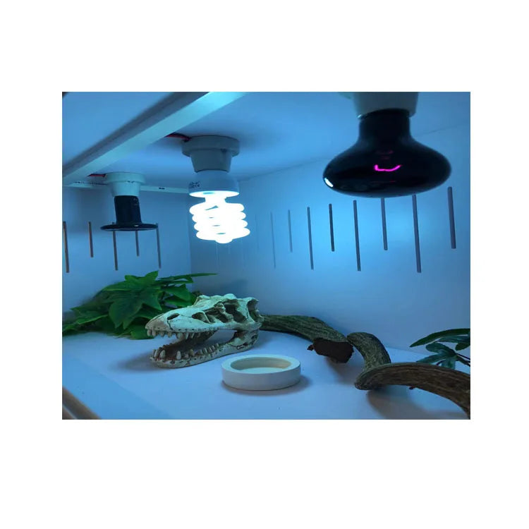 PVC Pet Animal Cage 80*40*40cm Reptile Fence Snake Beard Dragon Breeding Room Reptile Container