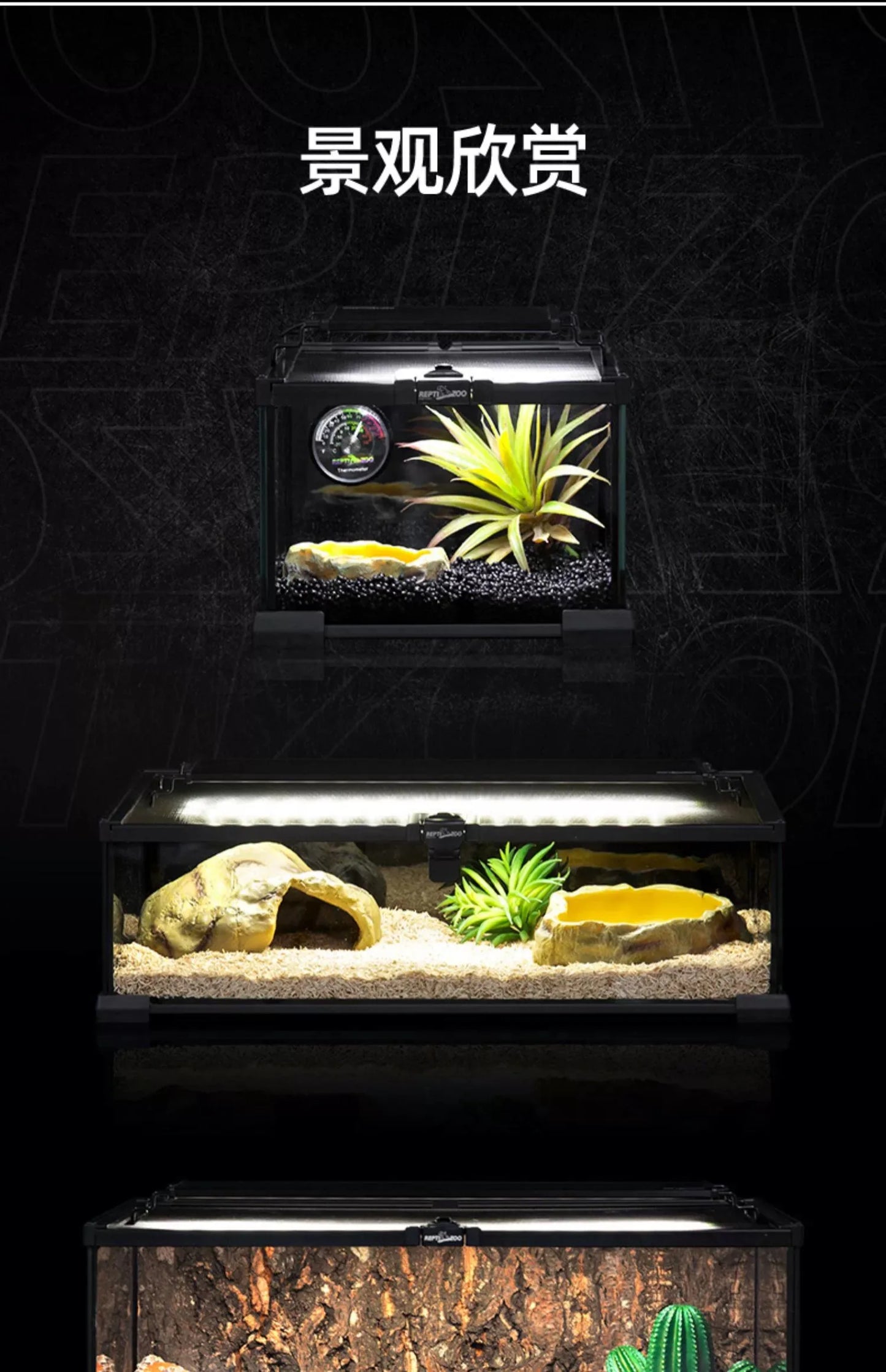 Rainforest Glass Terrarium for Reptiles Snake Tree Frog Bearded Dragon Lizard Gecko Spider Habitat Tank with Decorations