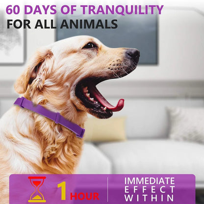 Pet Calm Collar Neck Strap Plastics Cat Dog Soothe Collar Adjustable Relieve Anxiety Remove Restlessness Protection Pet Supplies