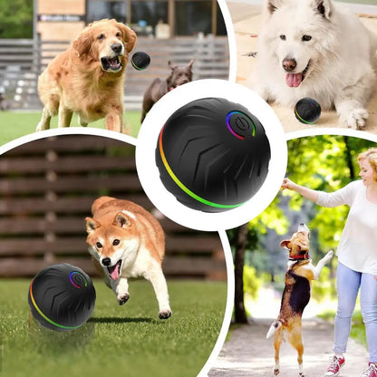 Rolling Ball Dog Toy Automatic Interactive Toy Pet Toy Ball USB Rechargeable Dog Chew Ball Pet Supplies For Backyard Park Garden