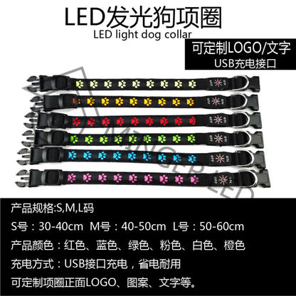 LED Dogs Luminous Collar Paw Pet Dog Walking Dog Collar Tag  Anti-car Accident Anti-lost Light Warning Safety Puppy accessories