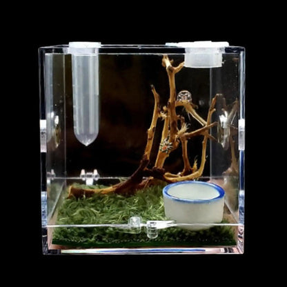 Small Reptile Feeding Box Transparent Acrylic Jumping Spider Breeding Box Habitat Small Insect Container Humidifier Feeding Box