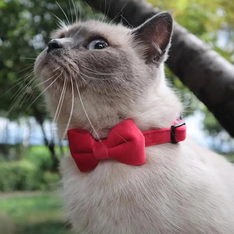 Pet Collars New Pet Bow Bell Collars Cute Cat Collars Pet Supplies Multicolor Adjustable Pets Dressing Tool Pets Accessories