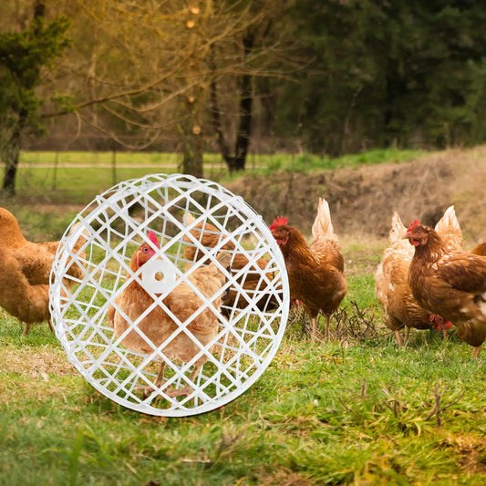 3 Pieces Spherical Chicken Cages for Outside Movable Chicken Cage Small Animal Outdoor Pens Hutches for Farm Exercise Keeping