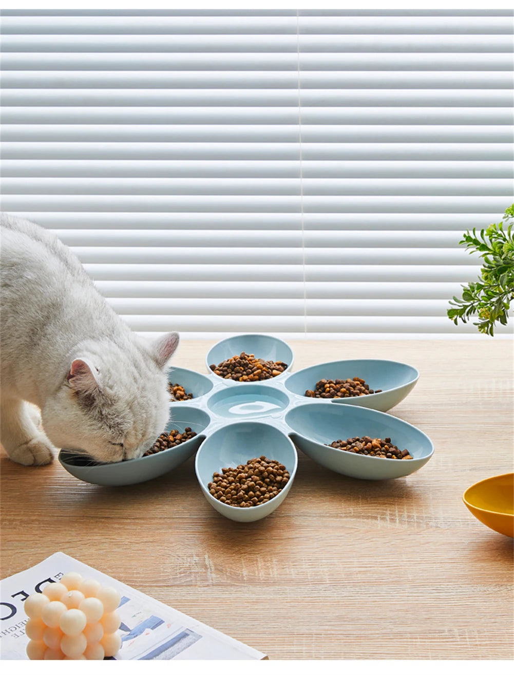 Cat Bowl Multi Cat Petal Food Bowl Baby Cat Milk Cat Special Bowl Multi functional Cat and Dog Food Bowl Upgrade Pet Lunch Time