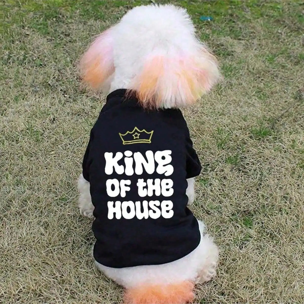 1pc Crown and letter printed black pet round neck sweatshirt, warm thick cat and dog round neck T-shirt