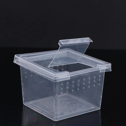 Reptile Accessories Transparent for Scorpion Spider Ants Lizard Living Box Hatching Tank Insect Feeding Box Reptile Habitat