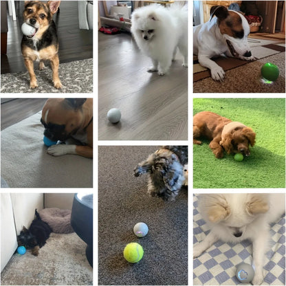 Smart Dog Toy Ball Electronic Interactive Pet Toy Ball USB Automatic Bouncing Rolling Toy Ball With RGB Lights Puppy Cat Product