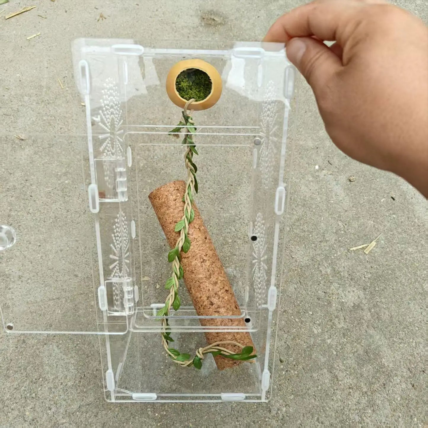 Jumping Spider Terrarium Hideouts With Extended Climbing Strip Magnetic Jumping Spider Habitat Hideaway House Accessories