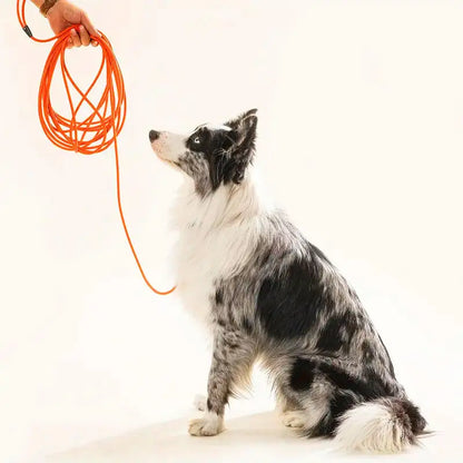Leash Durable Chew Proof Leads Dog Walking And Training Heavy Duty Dog Tie Out Cable For Small Large Dogs Outdoor