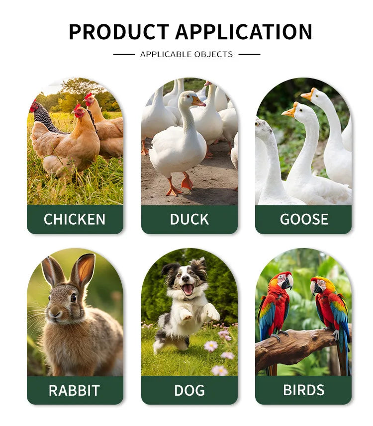 Chicken Coops Outdoor Rainproof Oversized Chicken and Rabbit Cages for Peacocks and Other Poultry