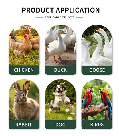 Chicken Coops Outdoor Rainproof Oversized Chicken and Rabbit Cages for Peacocks and Other Poultry