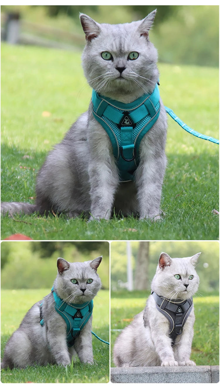 3pc Cat Harness Vest Adjustable Reflective Collars Cute Walking Lead Leash Set Harnesses Necklace For Small Dogs Cat Accessories