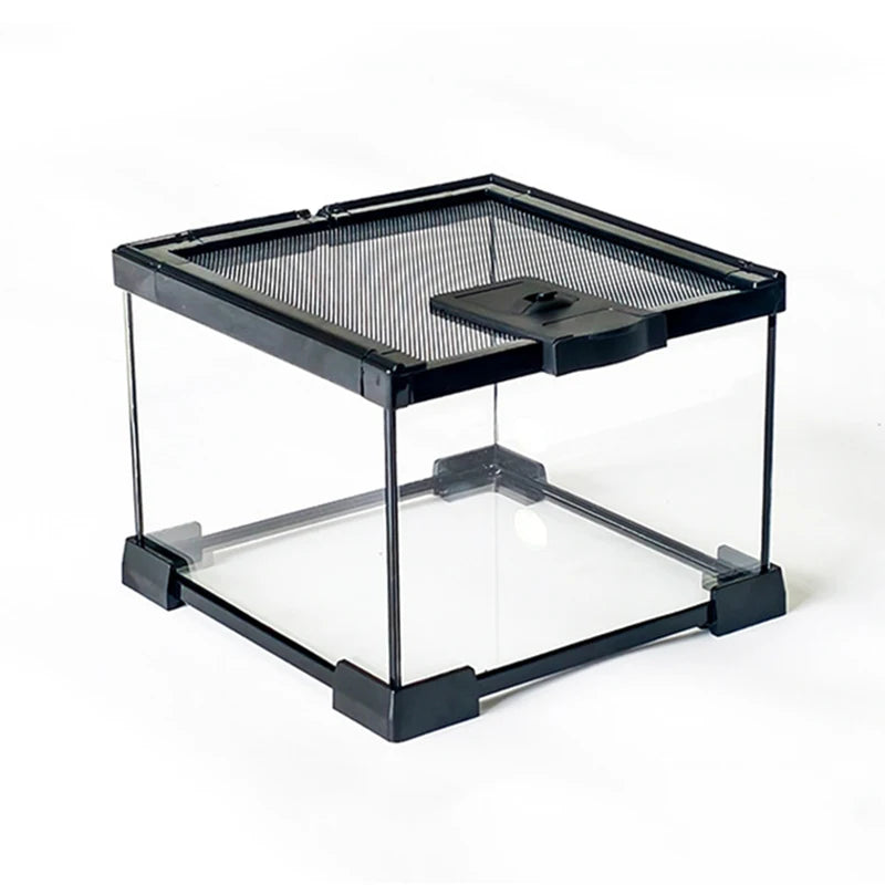 Reptile Terrariums Glass Landscaping Ecological Tank Amphibious Habitat Breeding Box Lizard Turtle Transparent Display Tanks