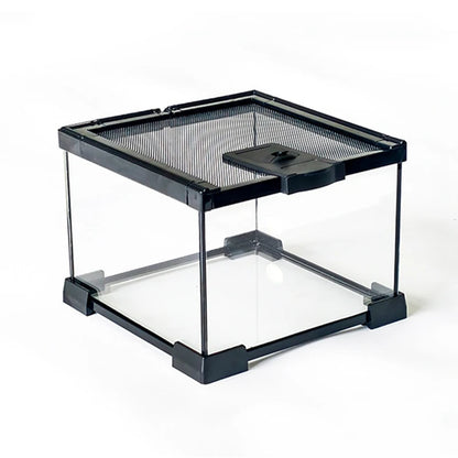 Reptile Terrariums Glass Landscaping Ecological Tank Amphibious Habitat Breeding Box Lizard Turtle Transparent Display Tanks