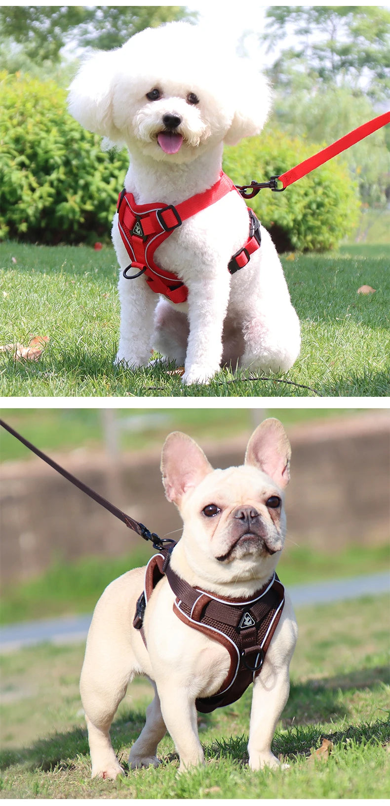 3pc Cat Harness Vest Adjustable Reflective Collars Cute Walking Lead Leash Set Harnesses Necklace For Small Dogs Cat Accessories