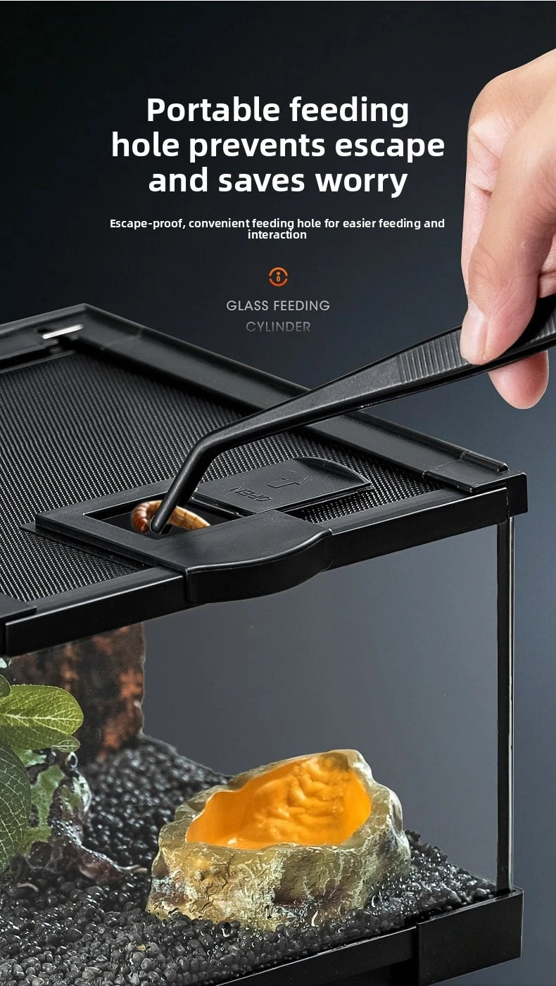 Professional glass reptile terrarium for chameleon,lizard,and snake,suitable for horned frog and water turtle,clear ventilation