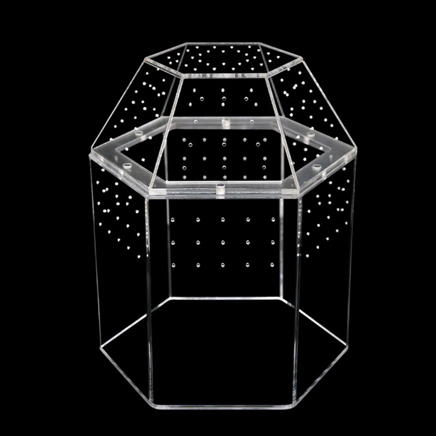 Jumping Spider Enclosure Acrylic Tortoise Enclosure Full Transparency Bug Terrarium for Spiders Tarantulas Snail Lizard Reptiles