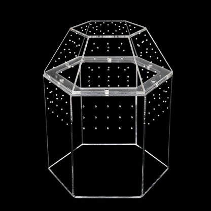 Jumping Spider Enclosure Acrylic Tortoise Enclosure Full Transparency Bug Terrarium for Spiders Tarantulas Snail Lizard Reptiles