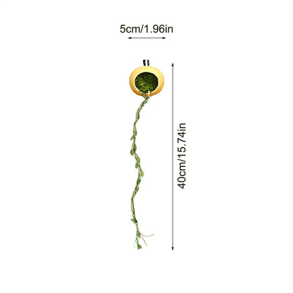 Jumping Spider Terrarium Hideouts With Extended Climbing Strip Magnetic Jumping Spider Habitat Hideaway House Accessories
