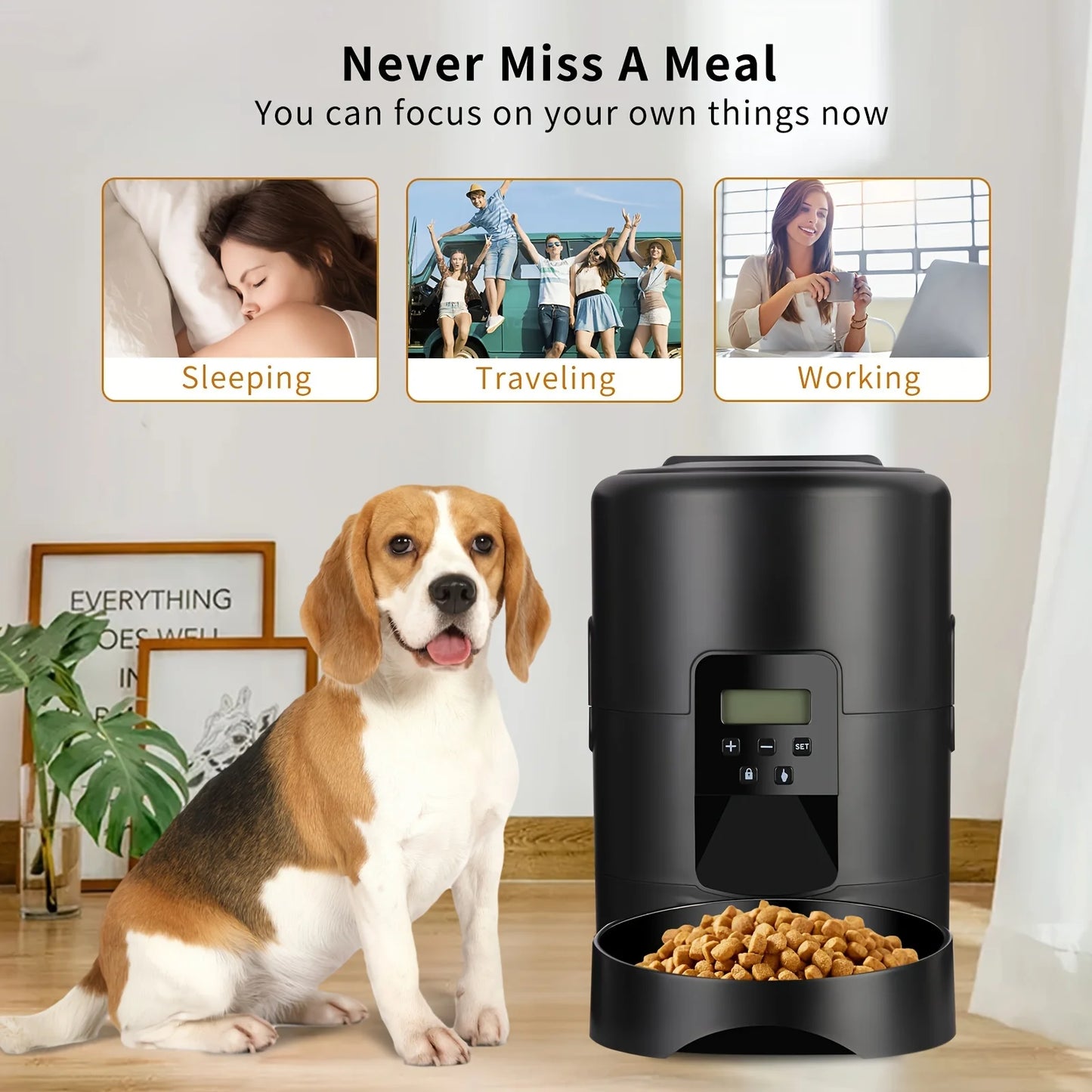 2L APP Control Automatic Pet Feeder Button Version Auto Cat Food Dispenser Smart Control Pet Feeder Dry Food Bowl for Cats Dogs