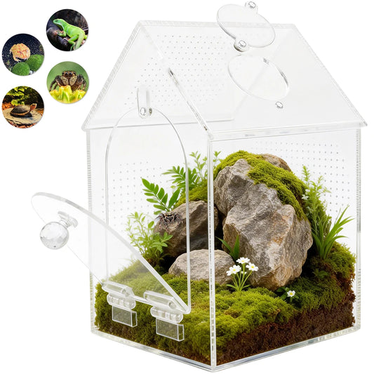 Clear Jumping Spider Enclosure Acrylic Tarantula Terrarium with Feeding Port and Ventilation Holes Small Reptile Feeding Box