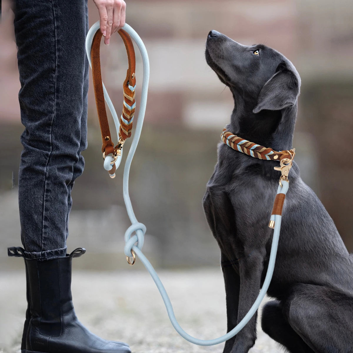 Genuine Leather Dog Leashes Multifunctional Hand-woven Crossbody And Waist Traction Rope Long And Short Nylon Round Lead Rope