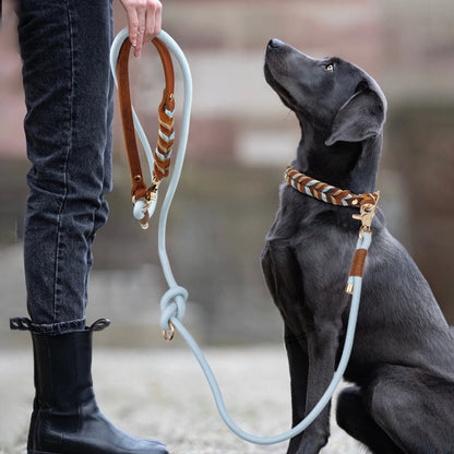 Genuine Leather Dog Leashes Multifunctional Hand-woven Crossbody And Waist Traction Rope Long And Short Nylon Round Lead Rope