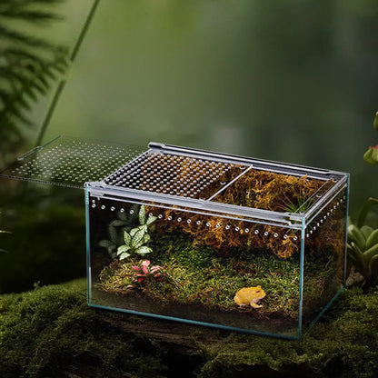 Spider Enclosure Transparent Reptile Enclosure Snake Terrarium for Gecko Snake Frog Chameleon Bearded Dragon Tortoise