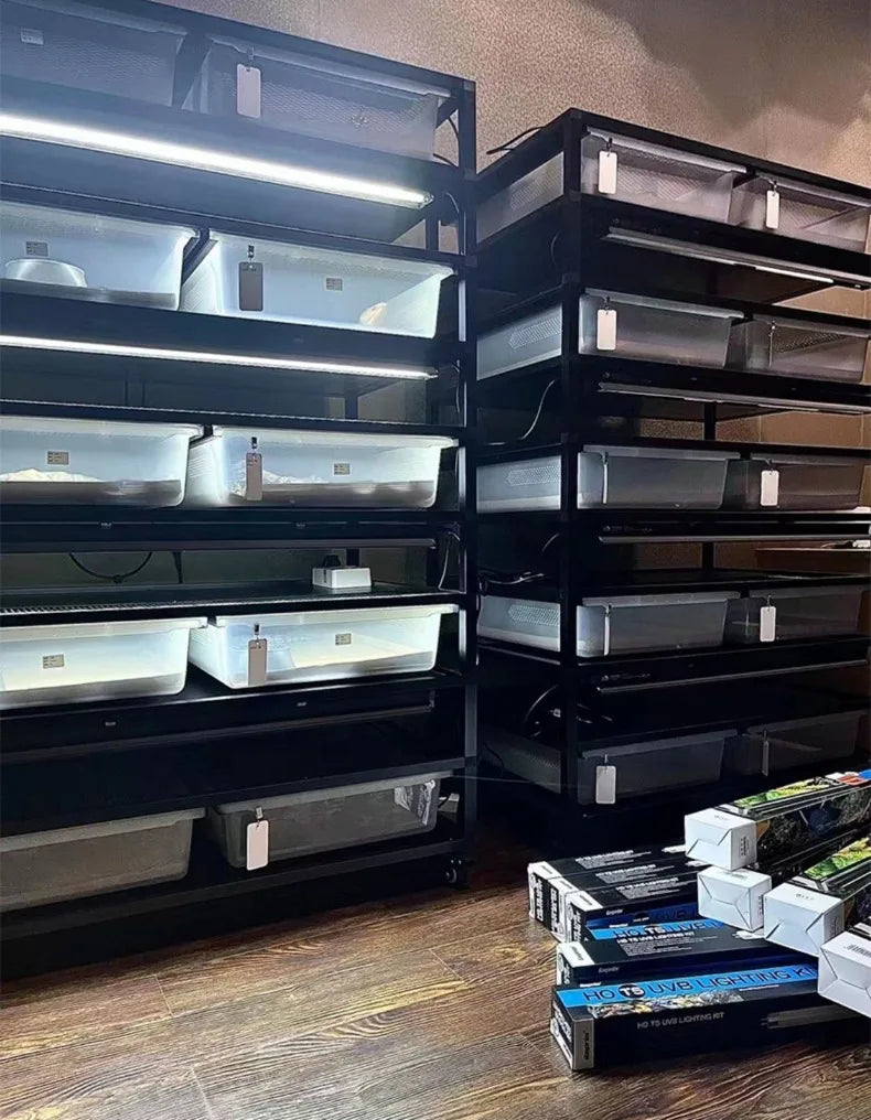 T5 Reptile Light Fixture 8W Reptile Terrarium Hood 5.0/10.0 UVB Light Bulb Fluorescent Tube for Bearded Dragon Lizards Tortoises