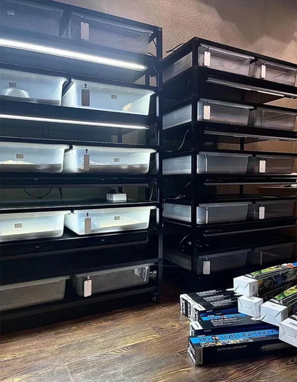 T5 Reptile Light Fixture 8W Reptile Terrarium Hood 5.0/10.0 UVB Light Bulb Fluorescent Tube for Bearded Dragon Lizards Tortoises