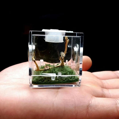 Small Reptile Feeding Box Transparent Acrylic Jumping Spider Breeding Box Habitat Small Insect Container Humidifier Feeding Box