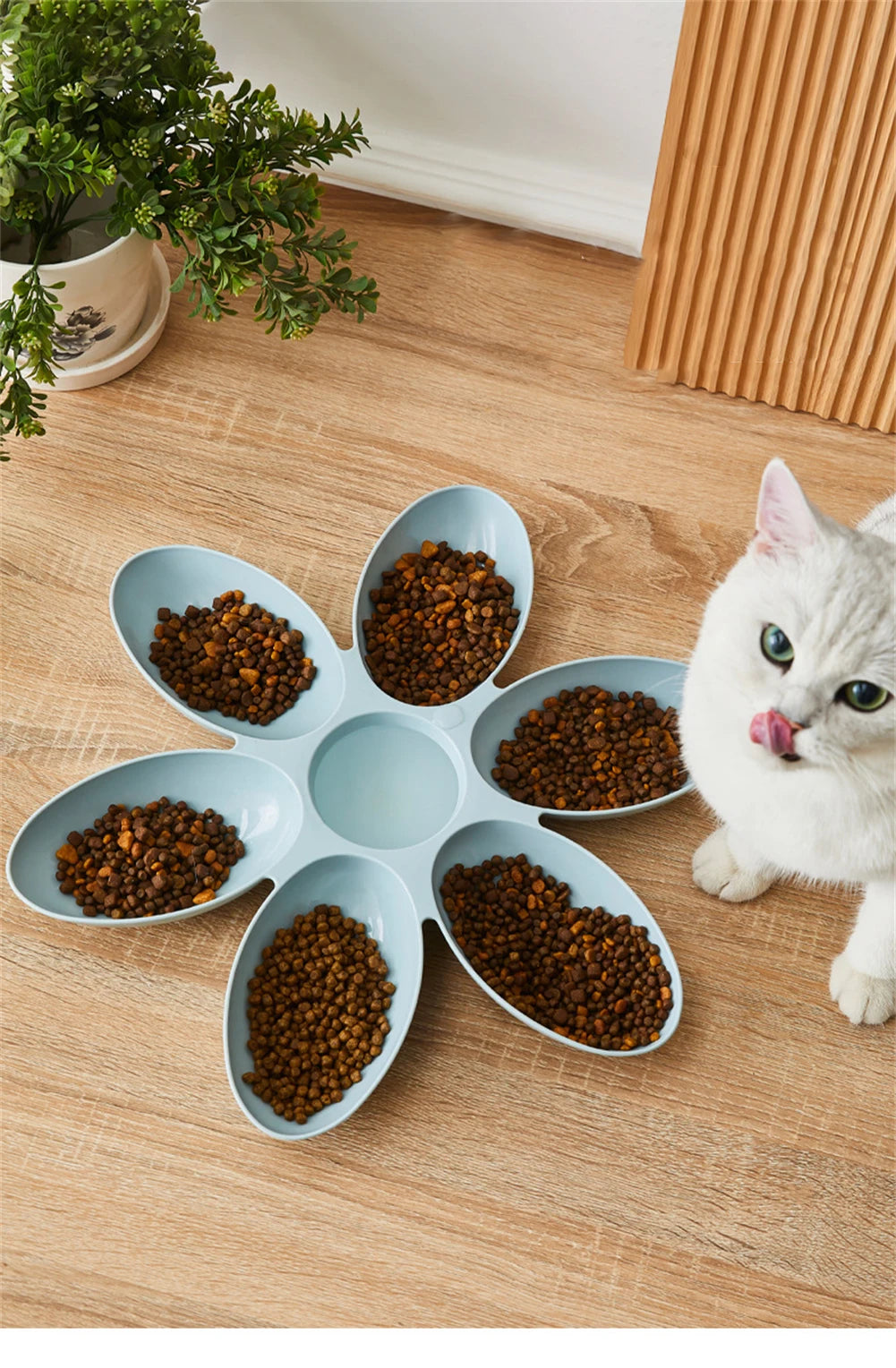 Cat Bowl Multi Cat Petal Food Bowl Baby Cat Milk Cat Special Bowl Multi functional Cat and Dog Food Bowl Upgrade Pet Lunch Time