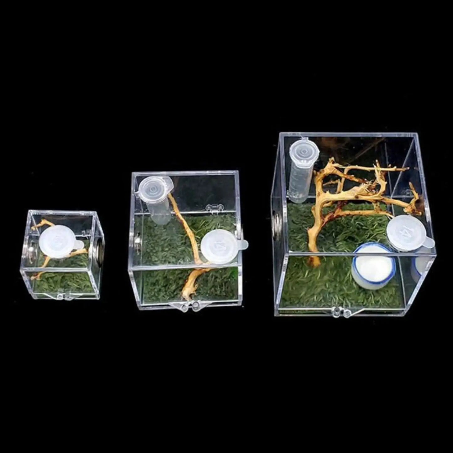 Small Reptile Feeding Box Transparent Acrylic Jumping Spider Breeding Box Habitat Small Insect Container Humidifier Feeding Box