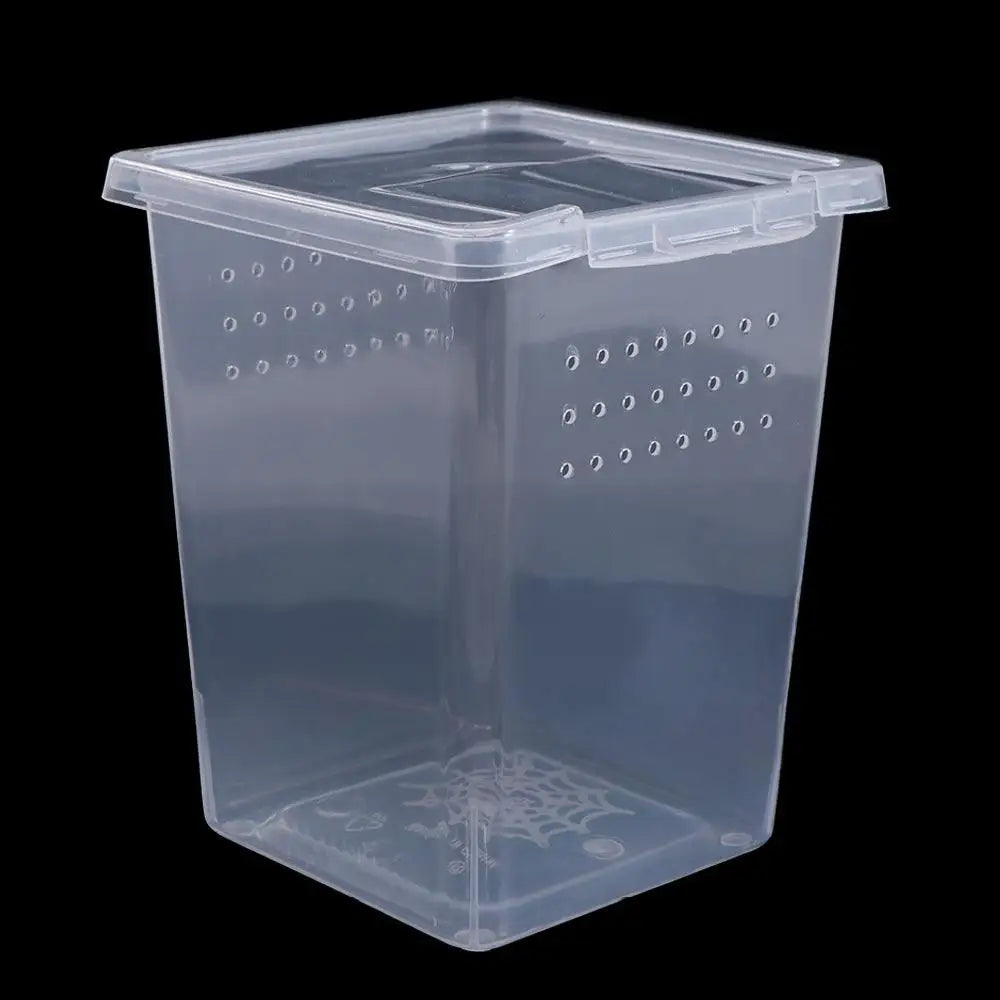 Reptile Accessories Transparent for Scorpion Spider Ants Lizard Living Box Hatching Tank Insect Feeding Box Reptile Habitat