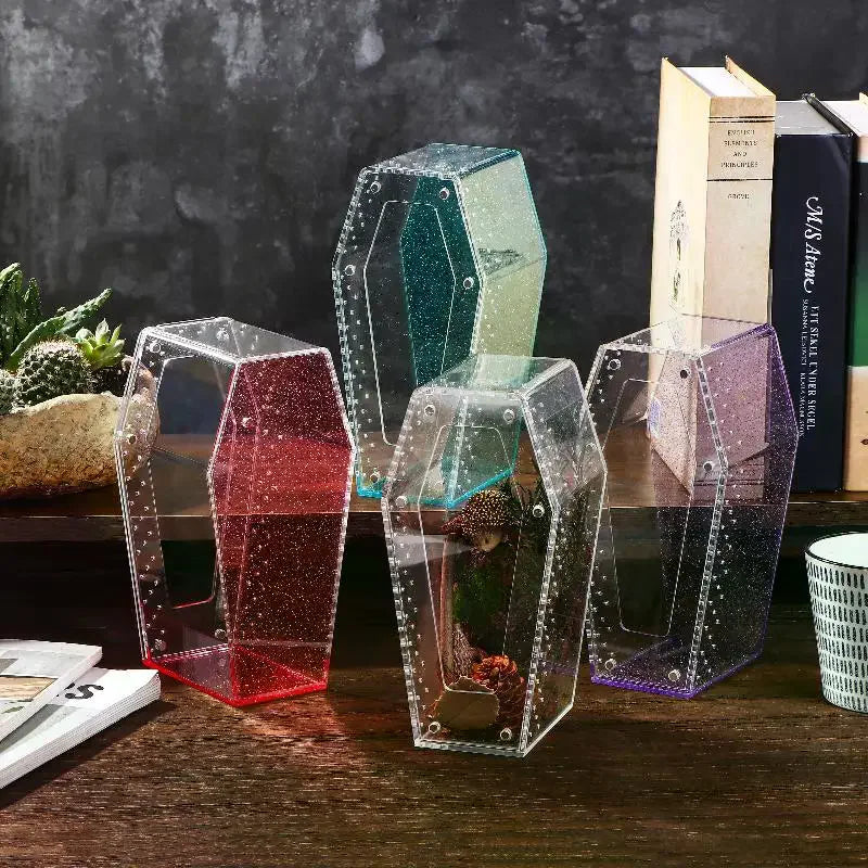 Acrylic Transparent Reptile Enclosure Insect Spider Lizard Feeding Cage Reptile Breeding Box Ventilation Arboreal Enclosure Case