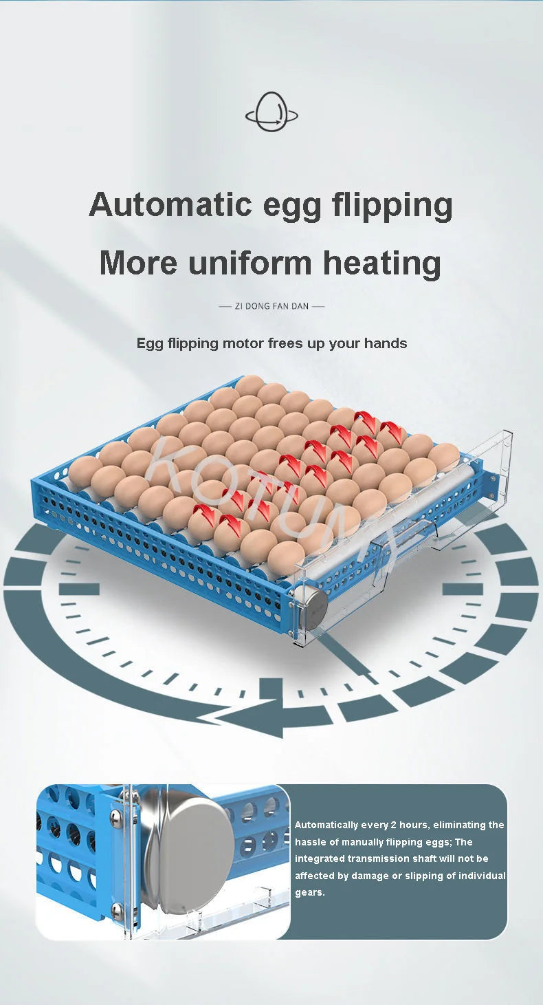 Incubator, Chicken Automatic Intelligent Small Incubator, Chicken Duck Goose Household Incubator, Mini Water Bed Incubator