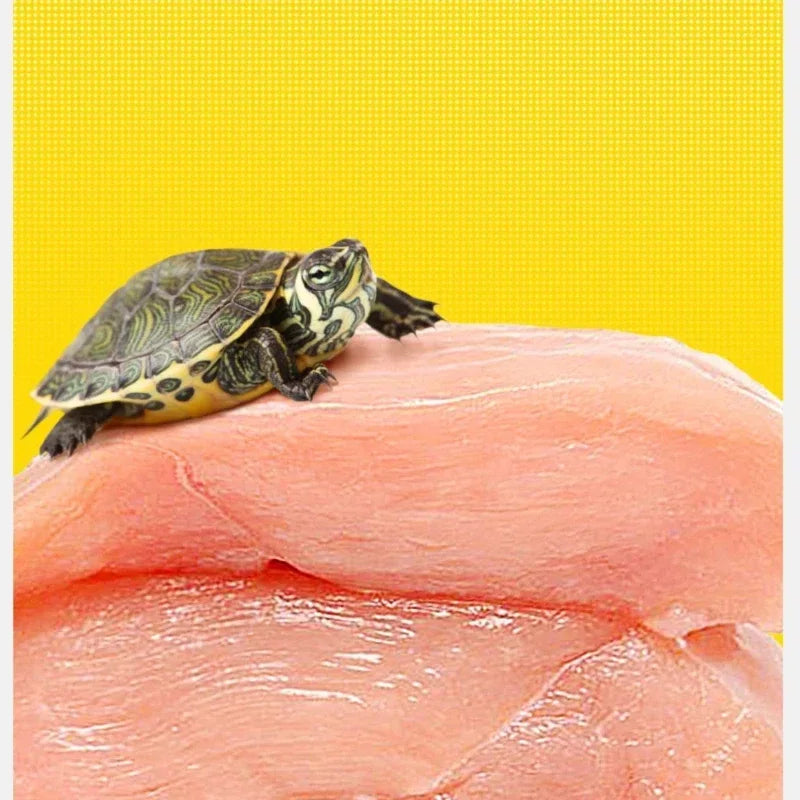 Premium Turtle Food-Dried Shrimp, Mealworms, Freeze-Dried Fish & Insects for Aquatic Turtles, Baby Turtles, and Snapping Turtles