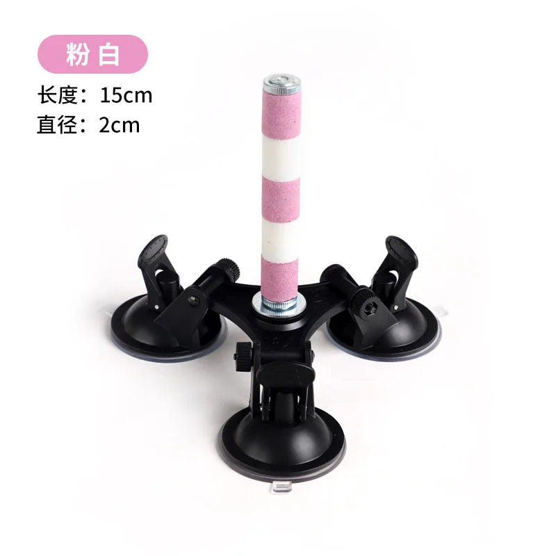 Multi-Functional Perch Stand for Birds with Bird Shower Perch Function Ideal Window Perch for Birds with Secure Suction Cup