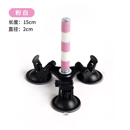 Multi-Functional Perch Stand for Birds with Bird Shower Perch Function Ideal Window Perch for Birds with Secure Suction Cup