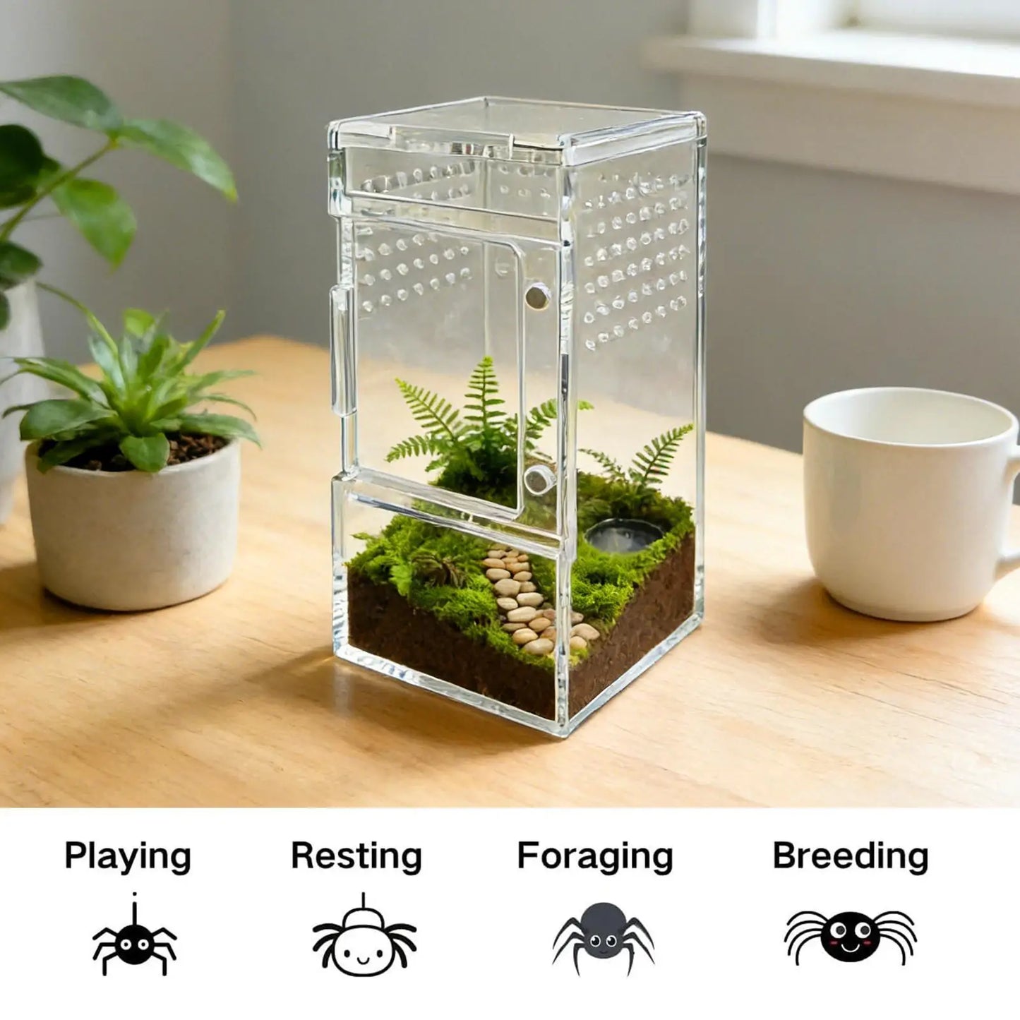 Spider Enclosure Clear Acrylic Reptile Box with Vent Sliding Lid Cage for Jumping Spider Tortoise Snake Gecko Crab Habitat