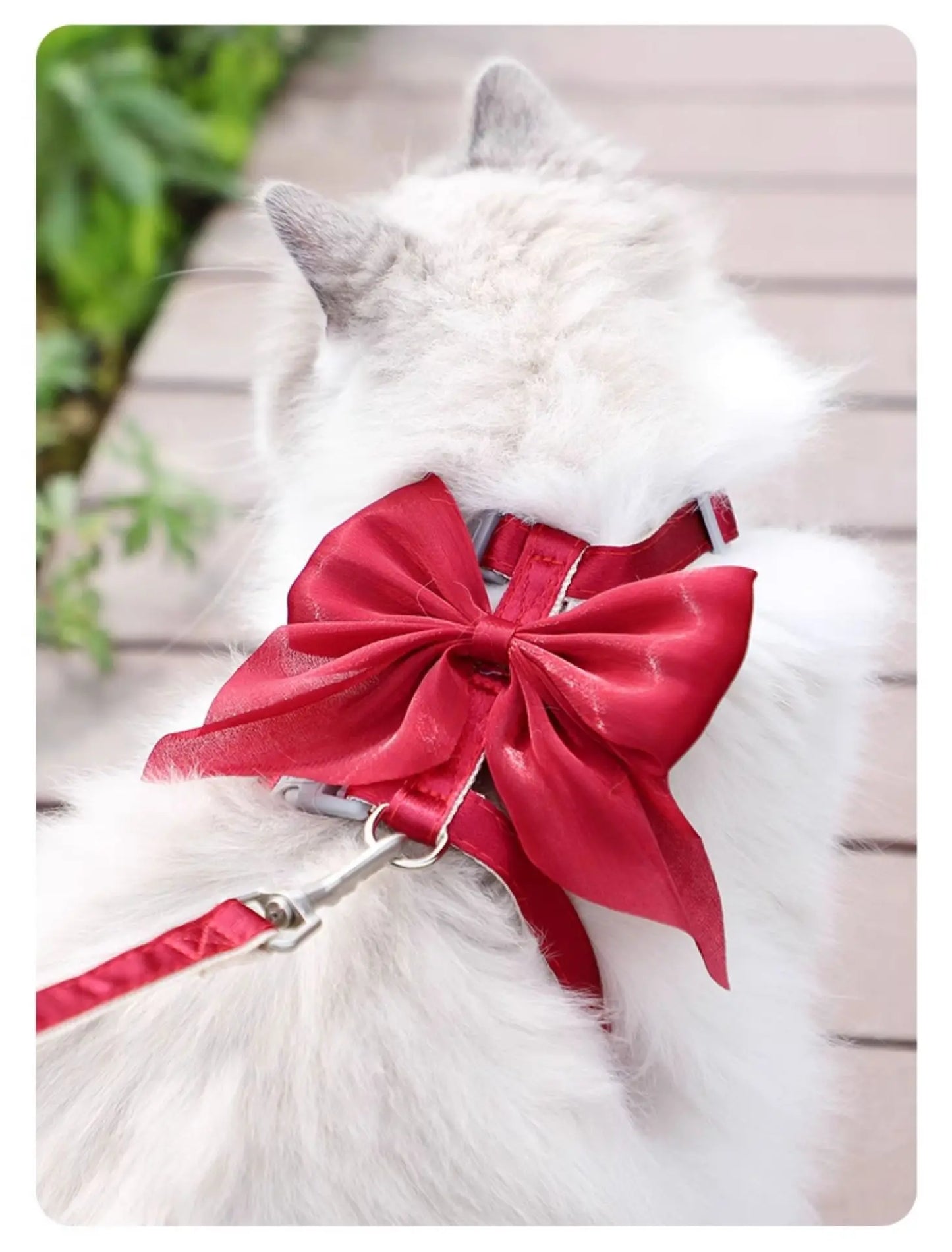 Cat Harness and Leash Set with Big Bow, Escape Proof Reflective Kitten Lead, Adjustable H-Type Vest for Walking, Cute Shiny